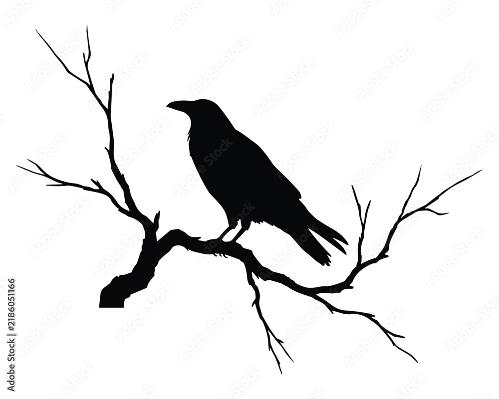 Obraz premium Silhouette of a raven perched on a bare tree branch