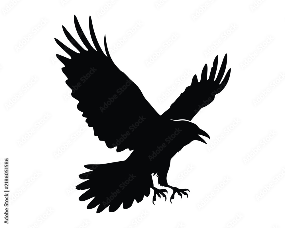 Obraz premium Black silhouette of a raven flying isolated on white