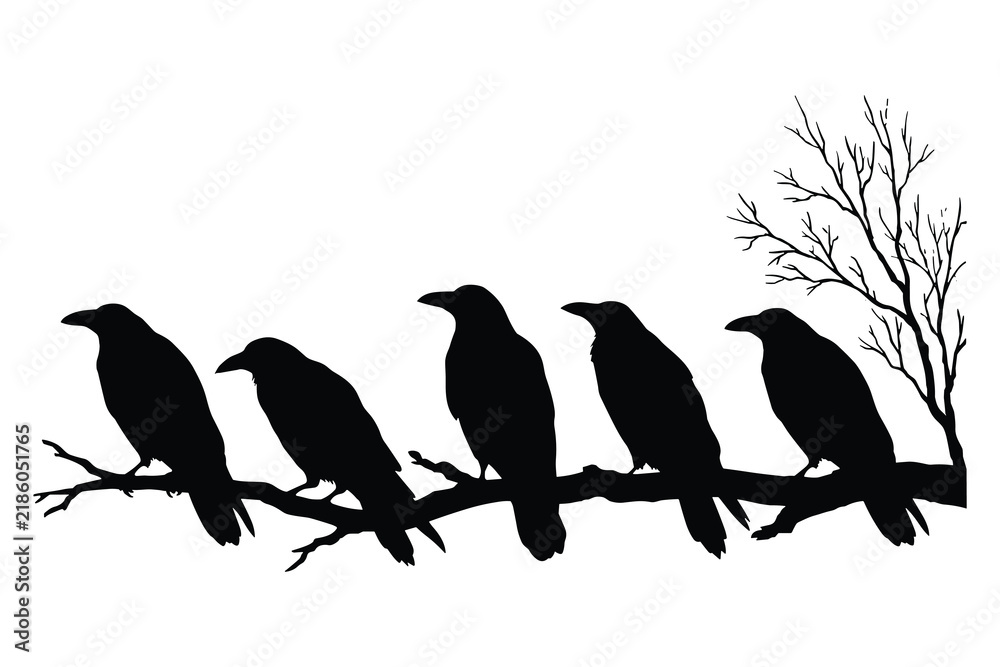 Obraz premium Silhouette of five crows perched on a tree branch