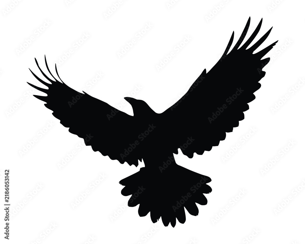 Obraz premium Silhouette of a flying raven isolated on white background