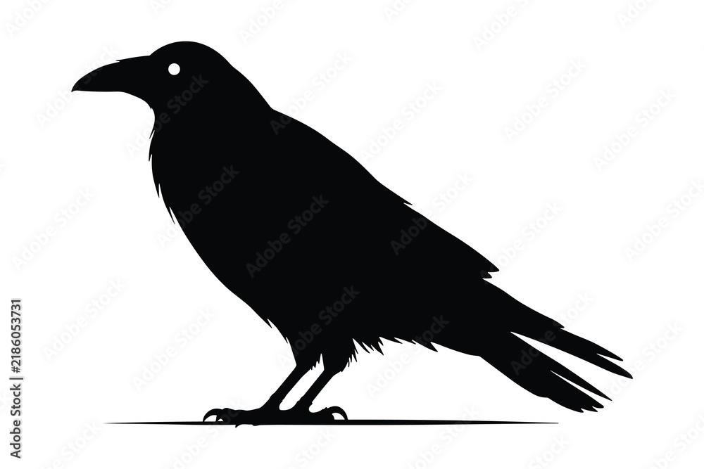 Obraz premium Silhouette of a raven isolated on white background