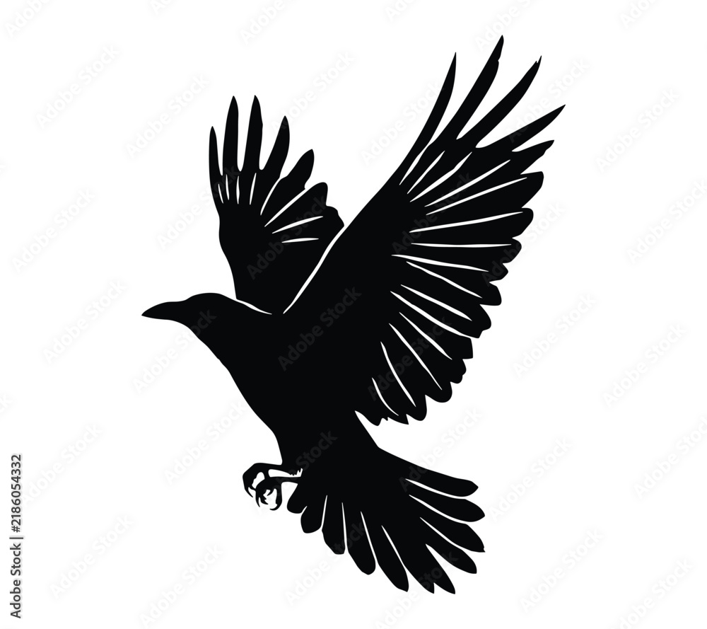Obraz premium Silhouette of a flying raven isolated on white background