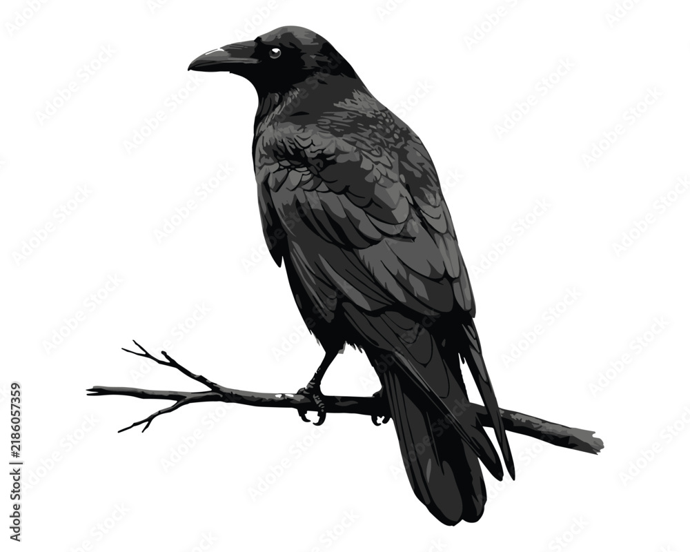 Obraz premium Realistic black raven bird perched on a branch
