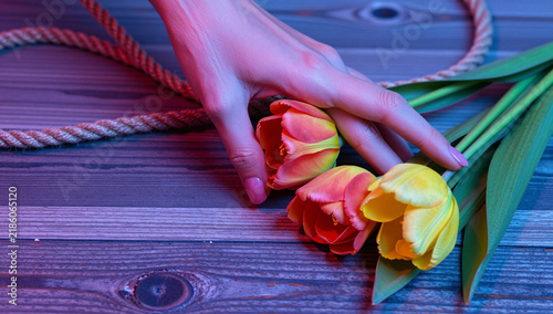 Hand Touching Fresh Tulip Flowers Table