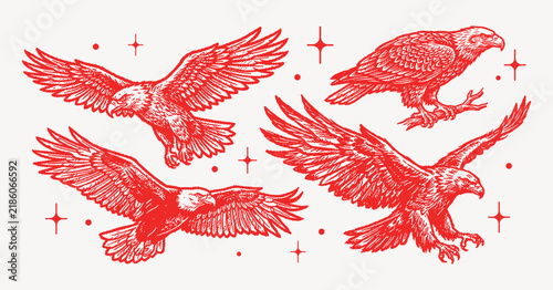 Vector illustration collection pack of four hand-drawn eagles in a variety of poses on white background