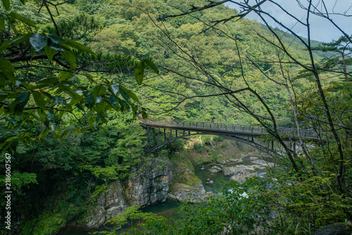 Obraz na płótnie 渓谷の橋と川の風景－日本、栃木県、日光、龍王峡、鬼怒川、虹見橋