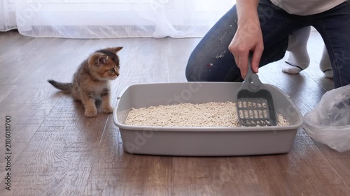 Woman levels fresh cat litter with a scoop while a kitten watches