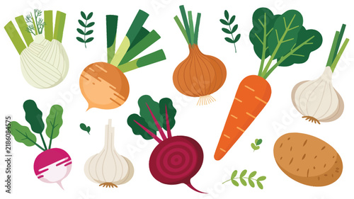 Fresh vegetables collection featuring carrot, beet, garlic, and onion, colorful vector illustration of healthy organic produce for food, grocery, and cooking.