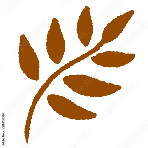 autumn leaf

