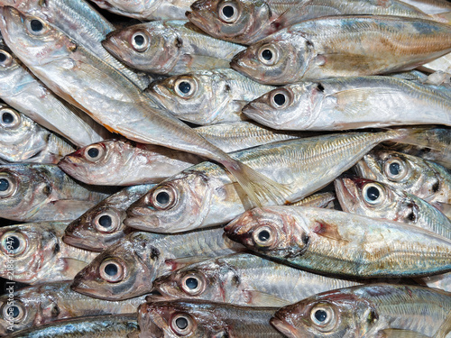 Fresh raw horse mackerel fish background at market counter, high angle close up view