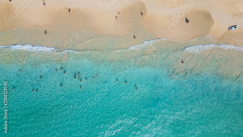Картината върху платно Vista dall'alto della spiaggia di Santa Maria Capo Verde Isola di Sal