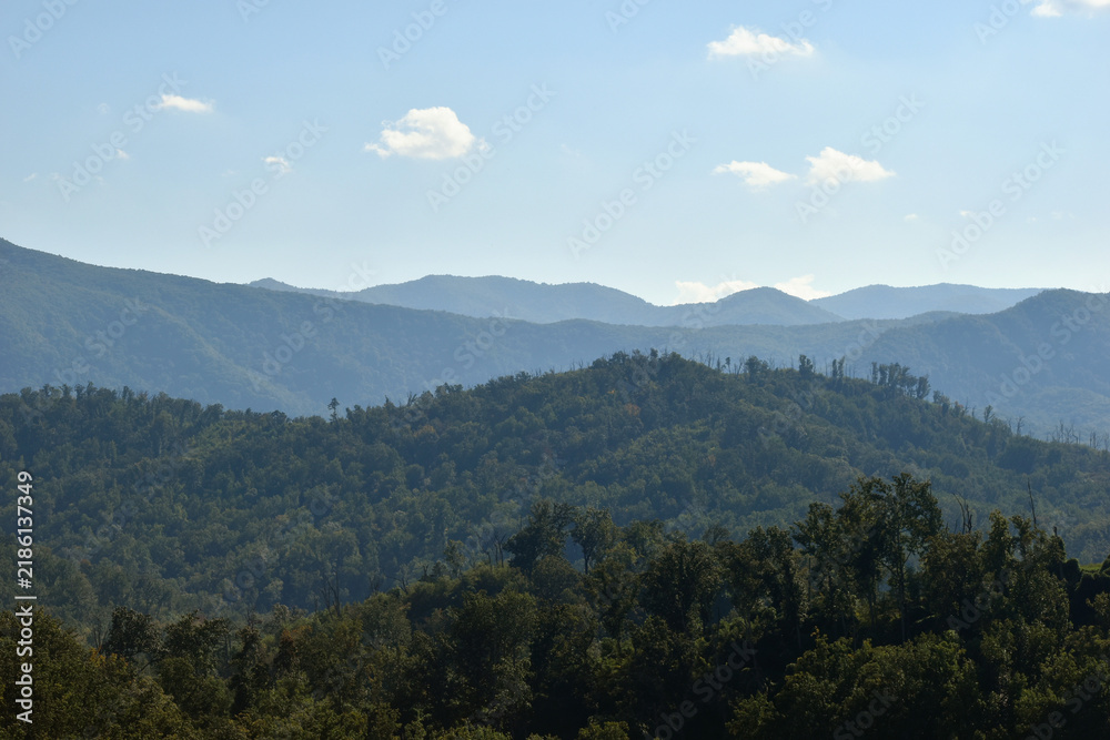 Fototapeta premium Cascade Acres nature photograph
