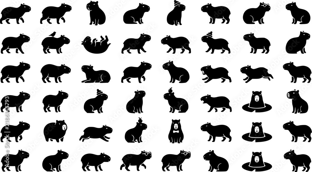 Obraz premium Capybara Character Icon Set – Silhouette Style. Covers capybara rodent, south american mammal, chill animal meme & more. Solid black glyph, transparent background.