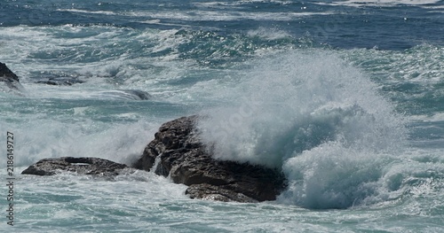 Powerful ocean wave crashing on coastal rocks. Portugal - Norte