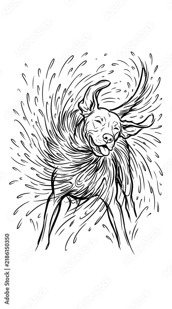 Obraz premium Dog shaking off water line art illustration, wet puppy splashing droplets sketch.