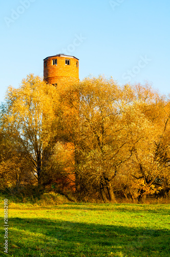 Canvas Print Autumn background with a historic brick water tower rising above golden trees an
