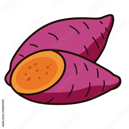 Illustration of Sweet Potato