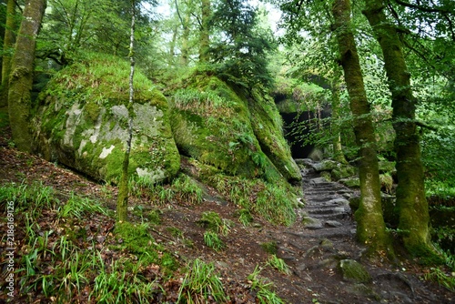 rochers en foret