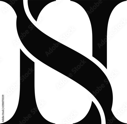 Bild auf Leinwand Intricate interwoven black and white abstract design element with graphic patter