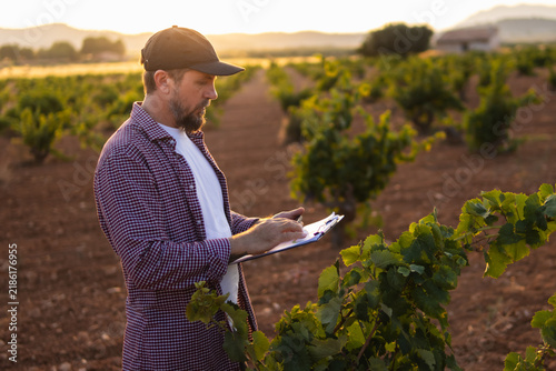 Фотография Winemaker analyzing grapevines, taking notes on a clipboard in a vineyard during