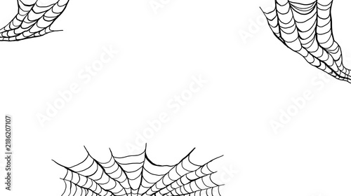 Spider web