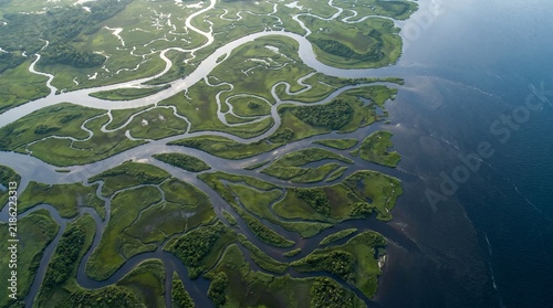 Aerial top down view of river delta branching into ocean wetlands. Water resource geography concept