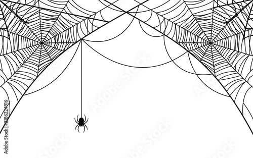 Halloween spider webs with hanging spider on transparent background