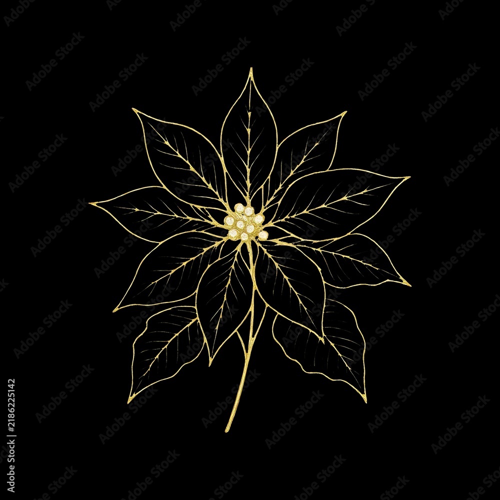 Obraz premium Elegant golden poinsettia illustration