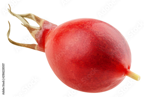 Принти на полотні Rose Hip isolated