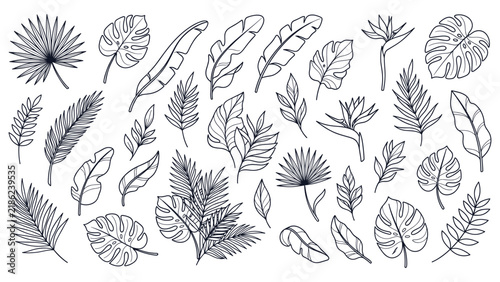 Set of tropical leaves and botanical elements in black outline art.