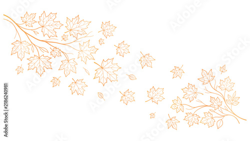Beautiful autumn maple leaves branch pattern decorative elements.