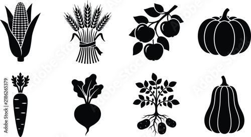 Autumn harvest vegetables and plants black silhouette icons for organic food designs.