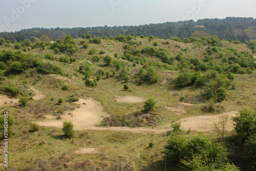 Bruid van Haarlem (Bride of Haarlem), a prominent, protected sand dune area located within the Kennemerduinen section of the Zuid-Kennemerland National Park in North Holland, Netherlands