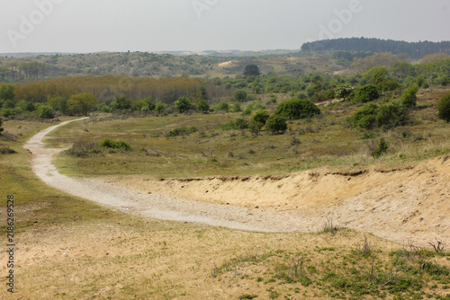 Bruid van Haarlem (Bride of Haarlem), a prominent, protected sand dune area located within the Kennemerduinen section of the Zuid-Kennemerland National Park in North Holland, Netherlands