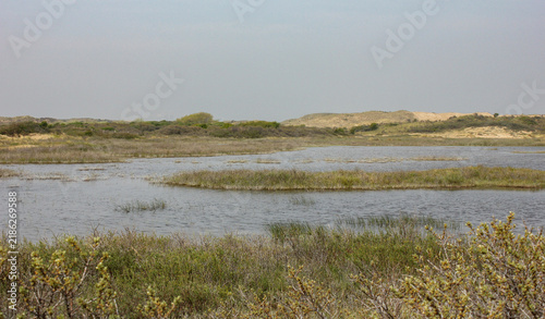 Bruid van Haarlem (Bride of Haarlem), a prominent, protected sand dune area located within the Kennemerduinen section of the Zuid-Kennemerland National Park in North Holland, Netherlands