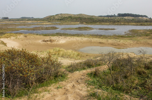 Bruid van Haarlem (Bride of Haarlem), a prominent, protected sand dune area located within the Kennemerduinen section of the Zuid-Kennemerland National Park in North Holland, Netherlands