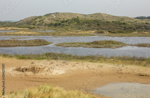 Bruid van Haarlem (Bride of Haarlem), a prominent, protected sand dune area located within the Kennemerduinen section of the Zuid-Kennemerland National Park in North Holland, Netherlands