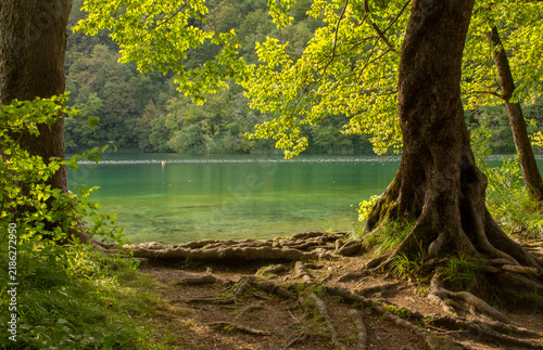 Plitvice Lakes National Park in Croatia