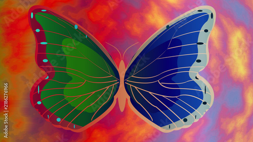 gradient colour background with butterfly
