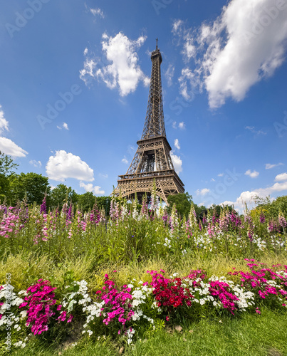 Paris in bloom: The Eiffel Tower rises gracefully above a vibrant garden of pink and white blooms, framed by a bright blue sky dotted with fluffy clouds.