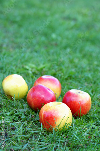 Foto A few ripe apples lying on the green grass