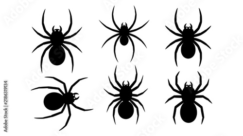 Black spider silhouettes arranged on a white background