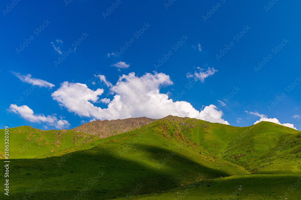 Obraz premium Vibrant Green Mountains and Rolling Hills in Kyrgyzstan