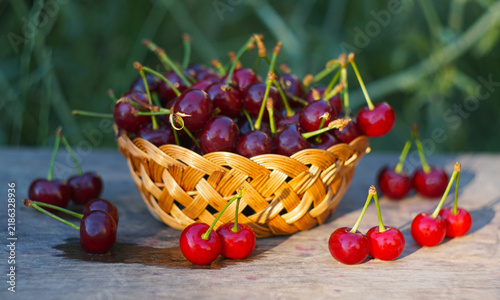 Cuadro en lienzo Ripe sweet cherries scattered around a wicker basket on a wooden table