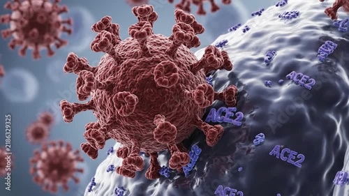 3D Video Rendering Showing Viral Infection Mechanisms and ACE2 Receptor Binding Activity for Scientific Educational Presentation