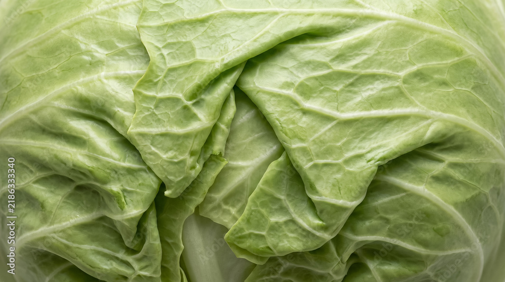 Obraz premium Vibrant green cabbage with detailed leaf texture, a fresh and organic option for nutritious meals
