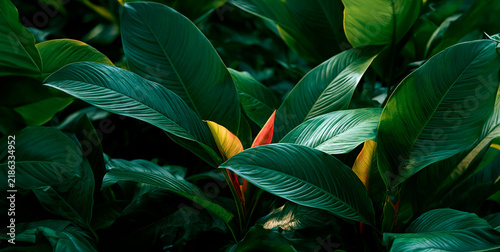 Colorful Green, White and Orange Botanical Leaves, Natural Foliage Design