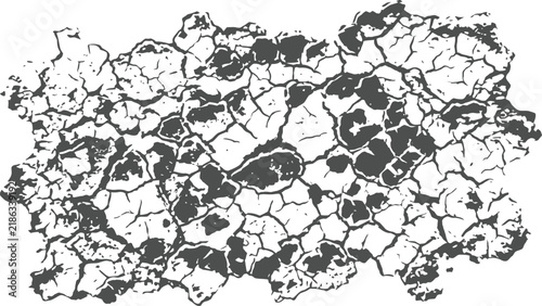 Black and white grunge cracked earth texture vector graphic overlay. Flat vector illustration EPS 10.