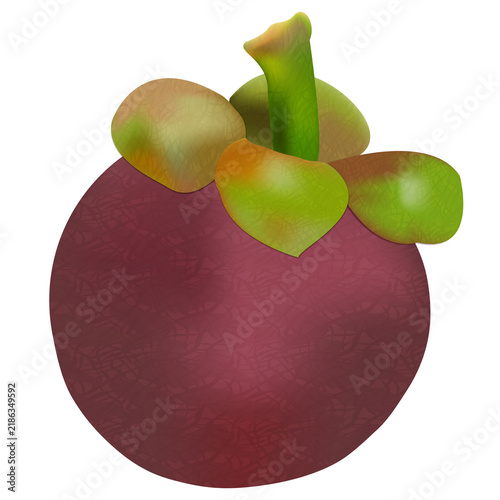 Foto Fresh purple mangosteen fruit vector illustration with green calyx isolated