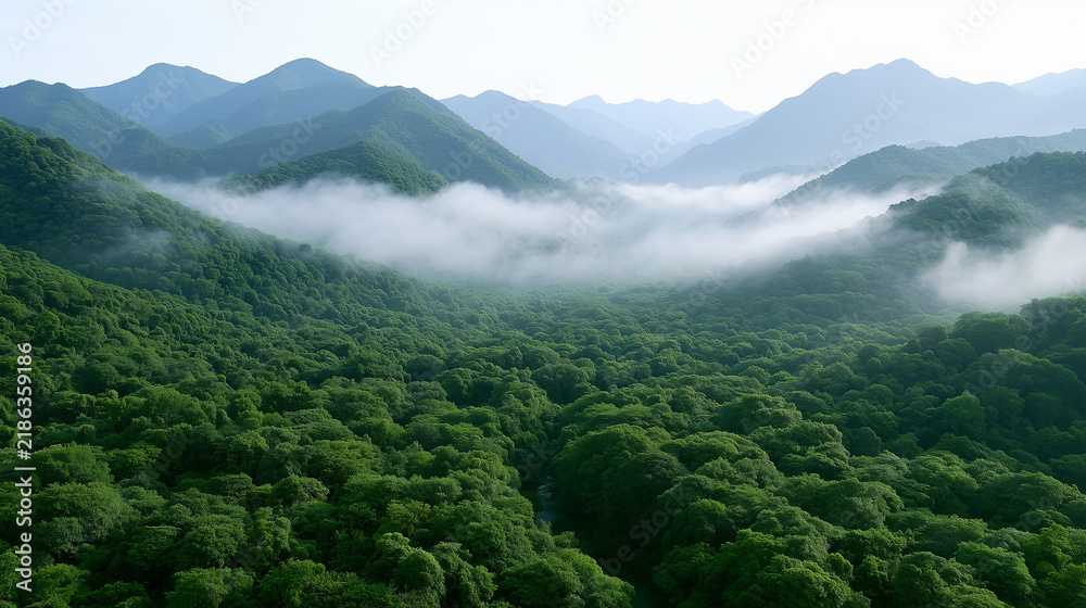 Obraz premium Breathtaking Aerial View of Lush Green Mountain Valley Enveloped in Thick Morning Mist Clouds